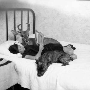 Meet your Posher, Sharon